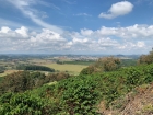 Fazenda Santa Terezinha