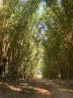 Pousada Fazenda Buracão