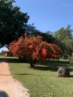 Pousada Fazenda Buracão