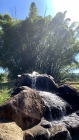 Pousada Fazenda Buracão