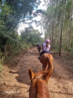 Fazenda Nova