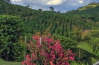 Fazenda Carruá