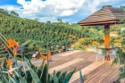 Fazenda Carruá