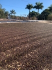 Fazenda Ambiental Fortaleza