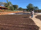Fazenda Ambiental Fortaleza