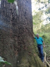 Fazenda Ambiental Fortaleza