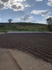 Fazenda Nova Aliança