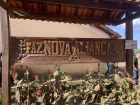 Fazenda Nova Aliança